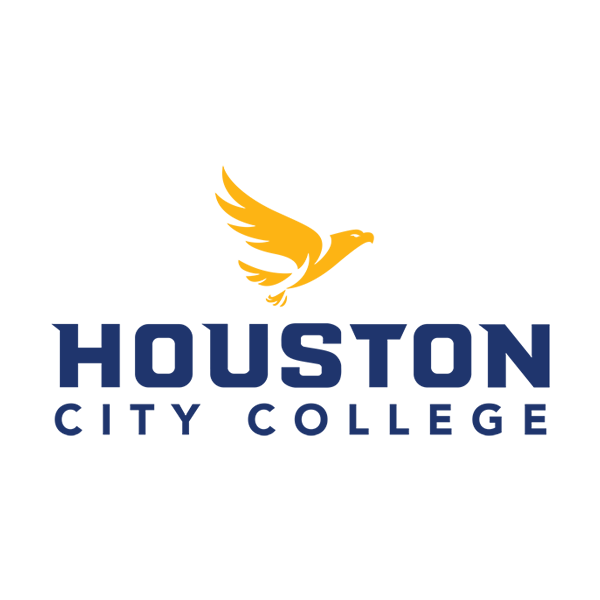 Houston City College
